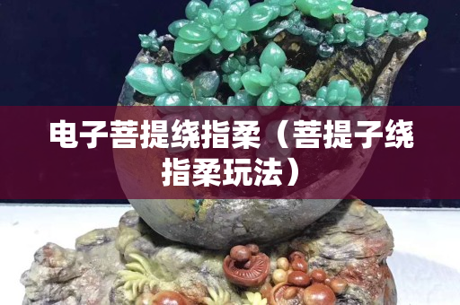 電子菩提繞指柔（菩提子繞指柔玩法）