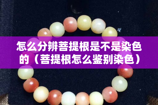 怎么分辨菩提根是不是染色的（菩提根怎么鑒別染色）