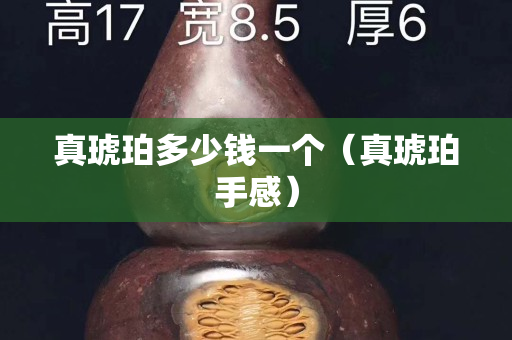 真琥珀多少錢一個(gè)（真琥珀手感）