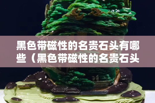 黑色帶磁性的名貴石頭有哪些（黑色帶磁性的名貴石頭有哪些品種）