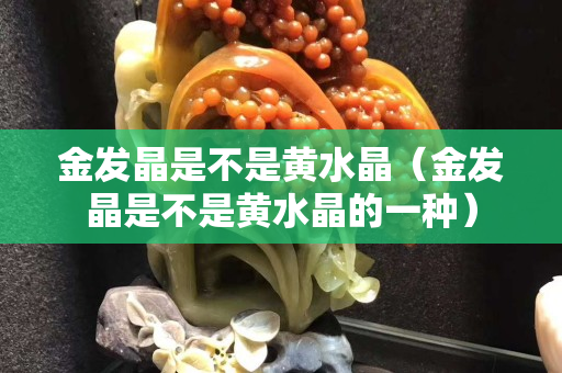 金發晶是不是黃水晶（金發晶是不是黃水晶的一種）