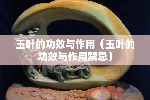 玉葉的功效與作用（玉葉的功效與作用禁忌）