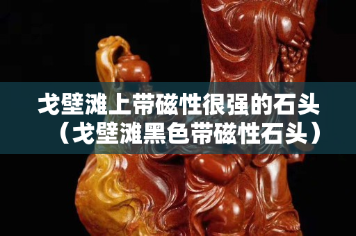 戈壁灘上帶磁性很強的石頭（戈壁灘黑色帶磁性石頭）