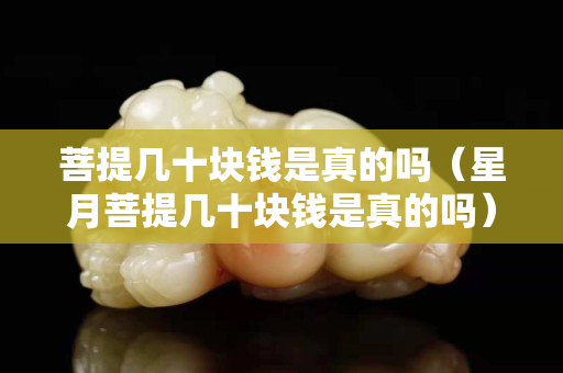 菩提幾十塊錢是真的嗎（星月菩提幾十塊錢是真的嗎）