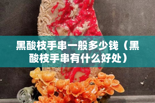黑酸枝手串一般多少錢（黑酸枝手串有什么好處）