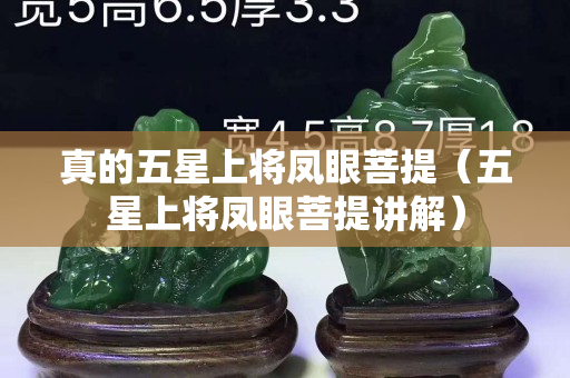 真的五星上將鳳眼菩提（五星上將鳳眼菩提講解）