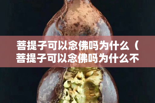 菩提子可以念佛嗎為什么（菩提子可以念佛嗎為什么不能念佛）