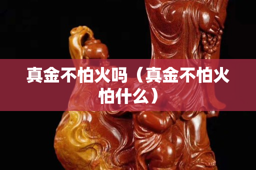 真金不怕火嗎（真金不怕火怕什么）
