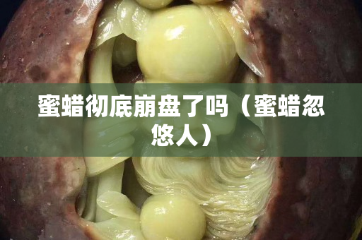 蜜蠟徹底崩盤了嗎（蜜蠟忽悠人）
