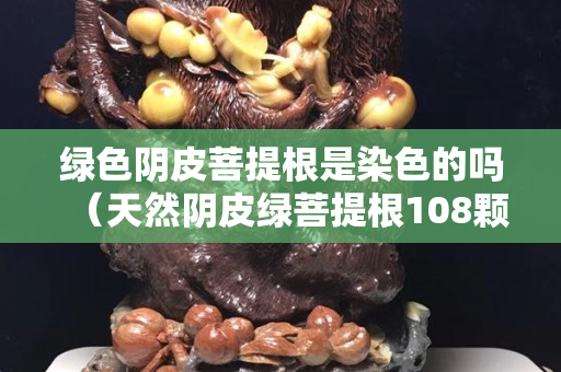 綠色陰皮菩提根是染色的嗎（天然陰皮綠菩提根108顆手串）