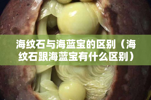 海紋石與海藍寶的區別（海紋石跟海藍寶有什么區別）