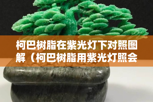 柯巴樹脂在紫光燈下對照圖解（柯巴樹脂用紫光燈照會有熒光嗎）