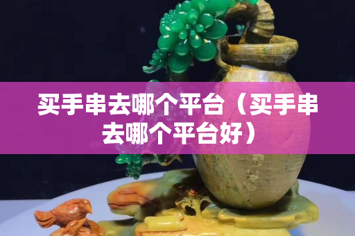 買手串去哪個平臺（買手串去哪個平臺好）