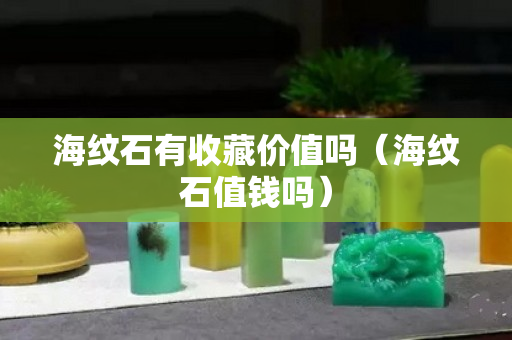 海紋石有收藏價(jià)值嗎（海紋石值錢嗎）