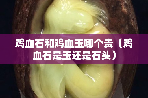雞血石和雞血玉哪個貴（雞血石是玉還是石頭）
