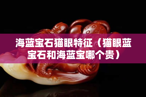 海藍(lán)寶石貓眼特征（貓眼藍(lán)寶石和海藍(lán)寶哪個(gè)貴）
