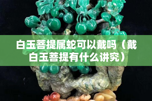 白玉菩提屬蛇可以戴嗎（戴白玉菩提有什么講究）