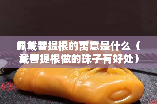 佩戴菩提根的寓意是什么（戴菩提根做的珠子有好處）