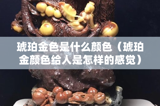 琥珀金色是什么顏色（琥珀金顏色給人是怎樣的感覺）