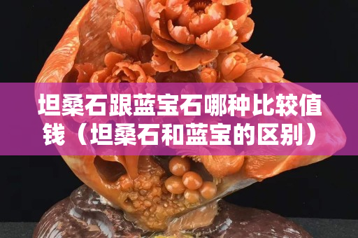坦桑石跟藍(lán)寶石哪種比較值錢（坦桑石和藍(lán)寶的區(qū)別）