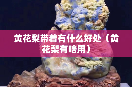 黃花梨帶著有什么好處（黃花梨有啥用）