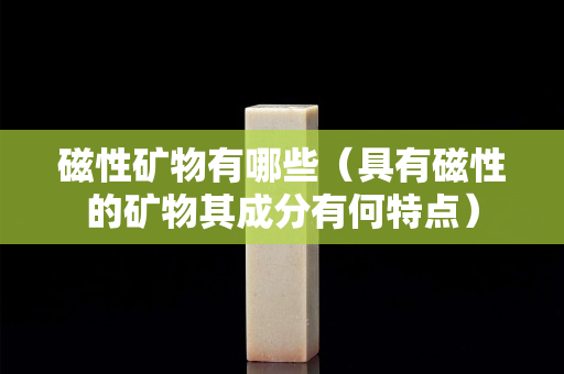 磁性礦物有哪些（具有磁性的礦物其成分有何特點）