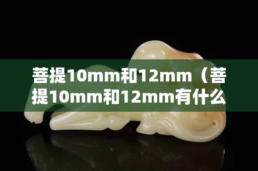 菩提10mm和12mm（菩提10mm和12mm有什么區別）
