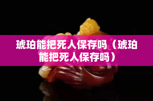 琥珀能把死人保存嗎（琥珀能把死人保存嗎）