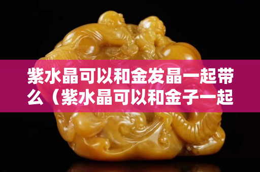 紫水晶可以和金發晶一起帶么（紫水晶可以和金子一起戴嗎）