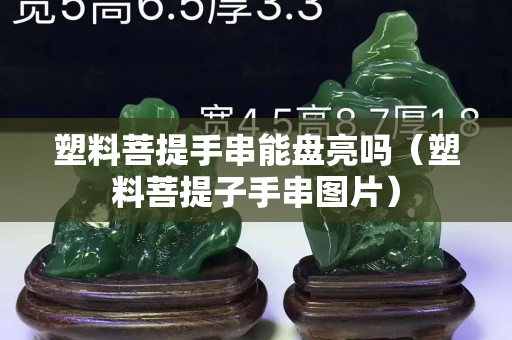 塑料菩提手串能盤亮嗎（塑料菩提子手串圖片）