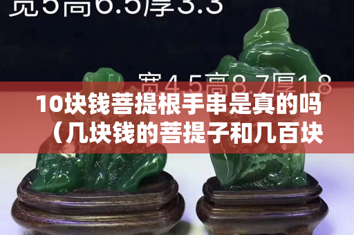 10塊錢菩提根手串是真的嗎（幾塊錢的菩提子和幾百塊的區別）