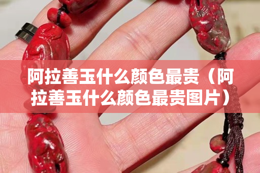 阿拉善玉什么顏色最貴（阿拉善玉什么顏色最貴圖片）