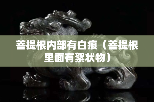 菩提根內(nèi)部有白痕（菩提根里面有絮狀物）