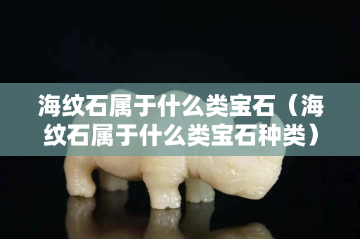 海紋石屬于什么類寶石（海紋石屬于什么類寶石種類）