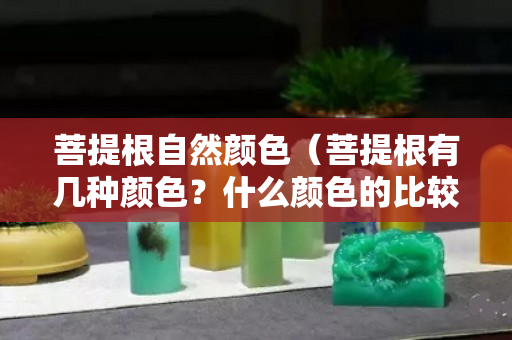 菩提根自然顏色（菩提根有幾種顏色？什么顏色的比較好？）