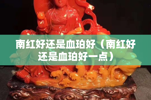 南紅好還是血珀好（南紅好還是血珀好一點）