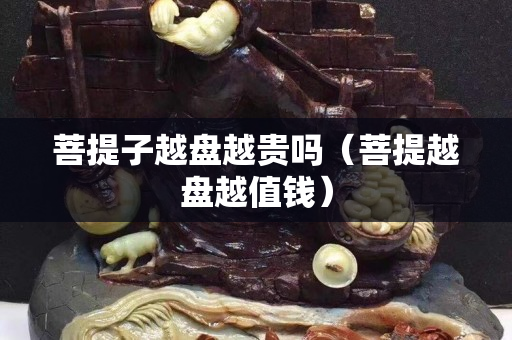 菩提子越盤越貴嗎（菩提越盤越值錢）