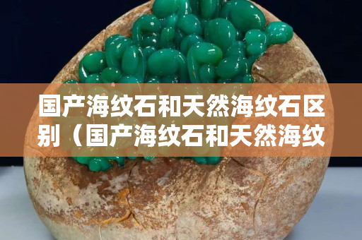 國產海紋石和天然海紋石區別（國產海紋石和天然海紋石區別是什么）