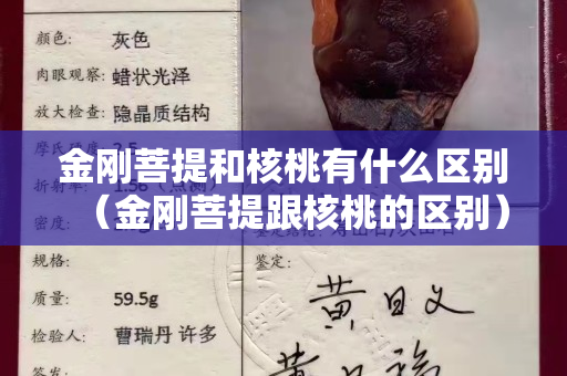 金剛菩提和核桃有什么區別（金剛菩提跟核桃的區別）