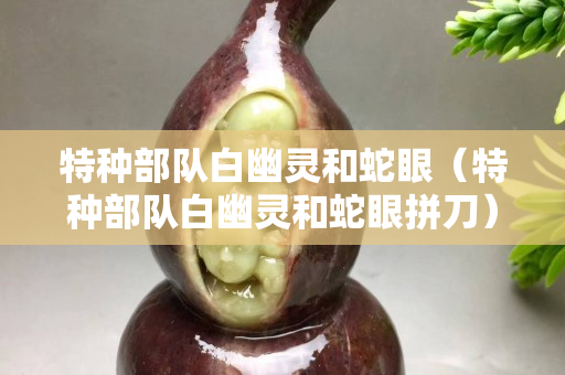 特種部隊白幽靈和蛇眼（特種部隊白幽靈和蛇眼拼刀）