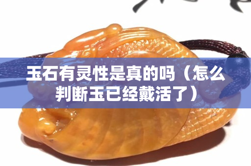 玉石有靈性是真的嗎（怎么判斷玉已經戴活了）