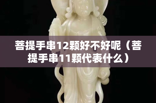 菩提手串12顆好不好呢（菩提手串11顆代表什么）