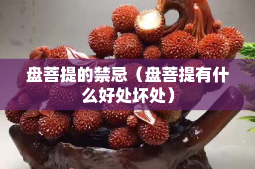 盤菩提的禁忌（盤菩提有什么好處壞處）