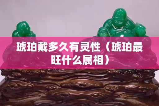 琥珀戴多久有靈性（琥珀最旺什么屬相）