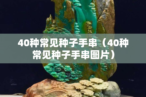 40種常見種子手串（40種常見種子手串圖片）