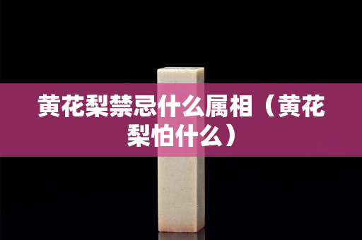 黃花梨禁忌什么屬相（黃花梨怕什么）