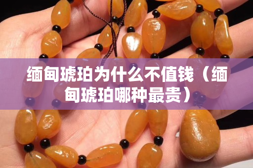 緬甸琥珀為什么不值錢（緬甸琥珀哪種最貴）