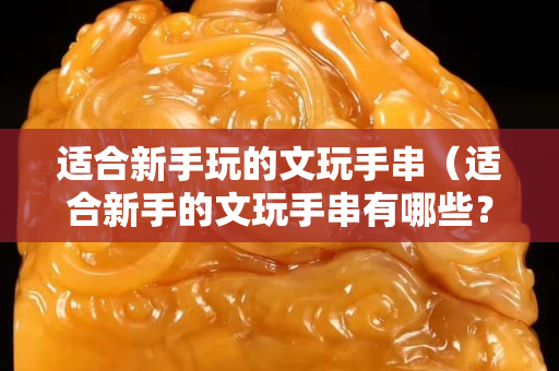 適合新手玩的文玩手串（適合新手的文玩手串有哪些？）
