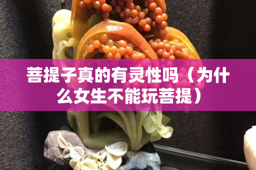 菩提子真的有靈性嗎（為什么女生不能玩菩提）