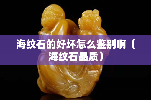海紋石的好壞怎么鑒別啊（海紋石品質(zhì)）